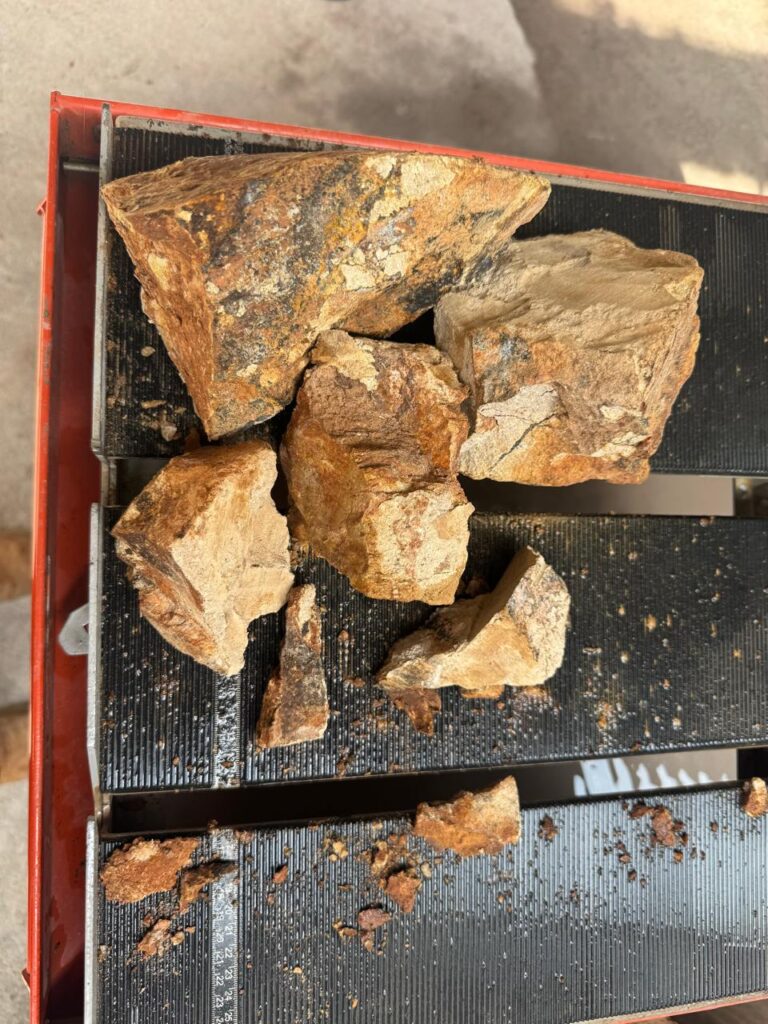 WhatsApp Image 2026-04-22 at 17.54.41